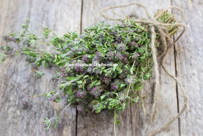 Пицца Маринара на томатном тесте