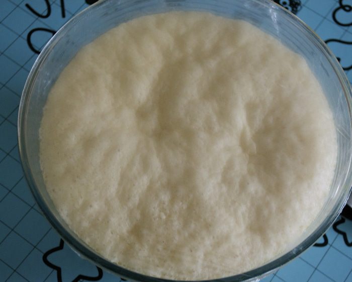 &amp;quot;Мартышкин хлеб&amp;quot; (MONKEY BREAD)