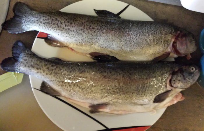 Форель по-Балкански