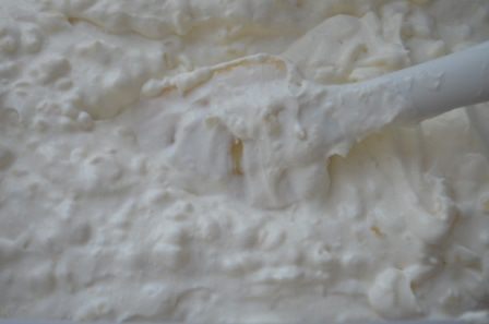 Потрясающе вкусное рисовое мороженое (без яиц)