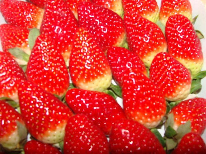 Творожное суфле с клубникой на завтрак &amp;quot; С любимыми не расставайтесь&amp;quot;