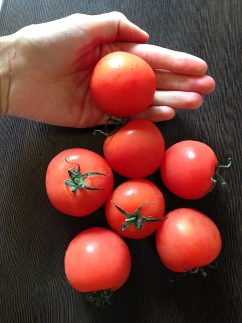 Закусочный творожно-томатный чизкейк с базиликовым курдом