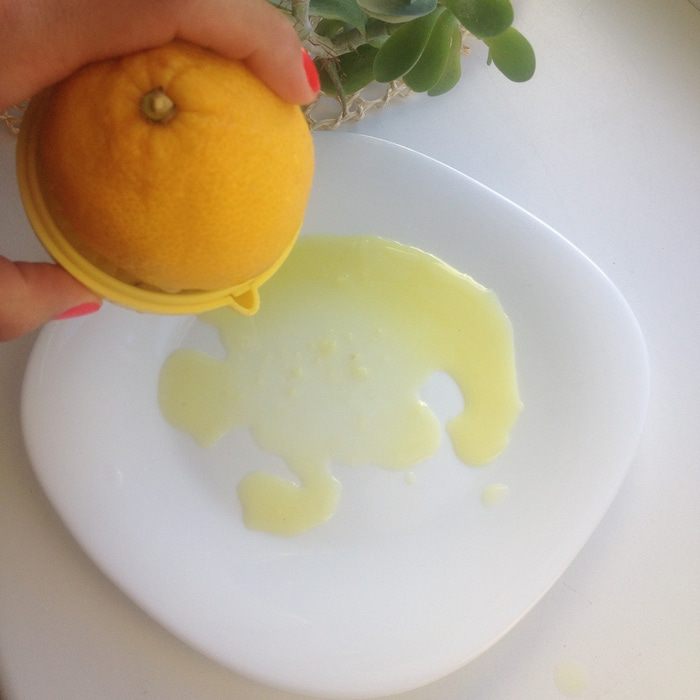 Карпаччо из форели с дыней, моцареллой и мятным песто