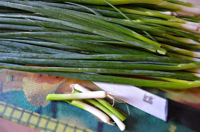 Любимые паланицы (плацинды) 