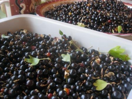 Варенье из реписа