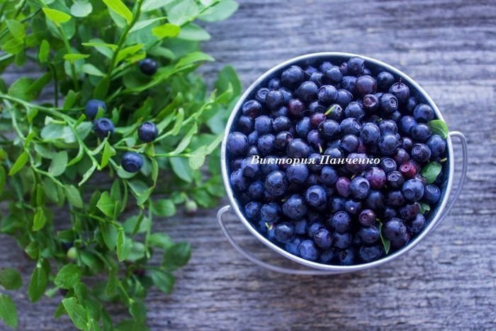 Мини-торты с черничным муссом