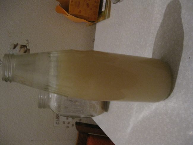 Квас хлебный