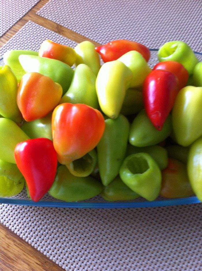 Зелень на зиму