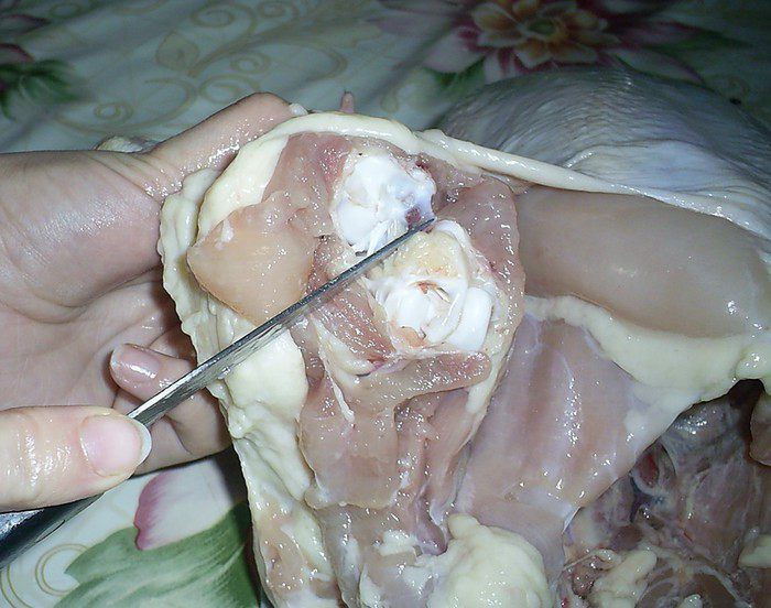 Запеченная блинная курочка с двумя начинками