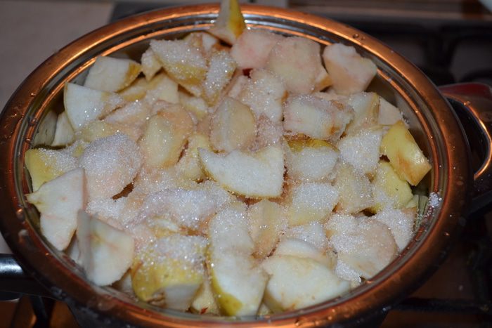 Яблочная шарлотка под двухцветным бисквитом