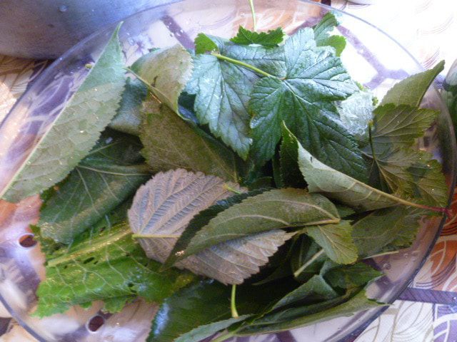 Огурцы в огурцах