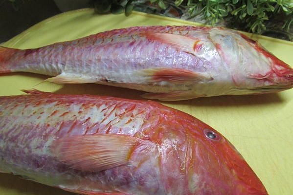 Филе барабульки с томатами 