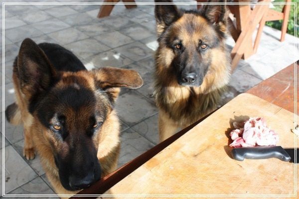 Козлятина с яблочком антоновским и черносливом