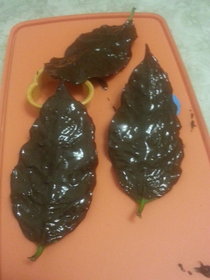 Фруктовое тирамису для детей