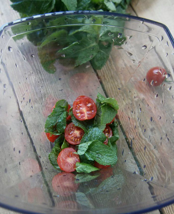 Куриный рулетик с мятой и томатно-мятным соусом