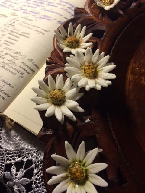 Торт &amp;quot;Аляска&amp;quot; с ромашково-медовым мороженым