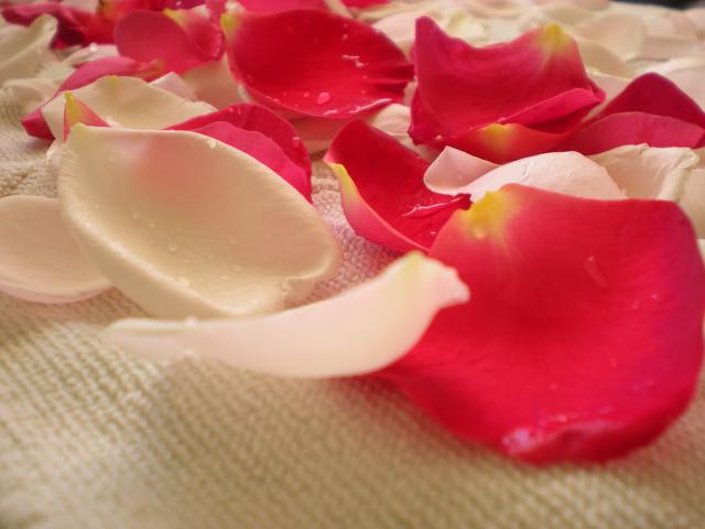 Торт &amp;#39;&amp;#39;Десертная Роза&amp;#39;&amp;#39; с засахаренными цветами