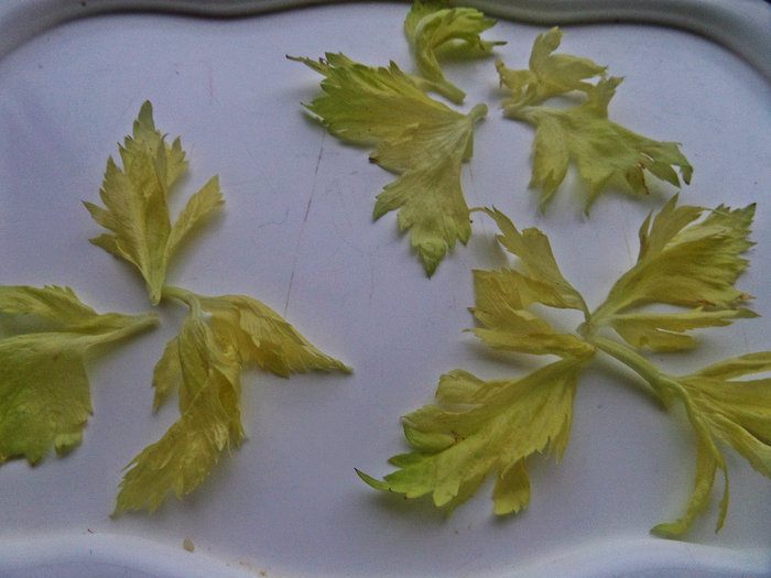 Свекольная &amp;quot;клубничка&amp;quot; с килькой