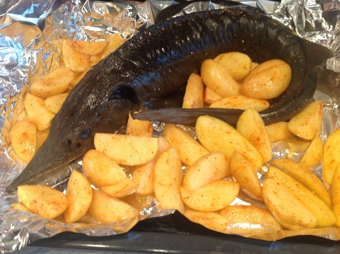 Царская рыба