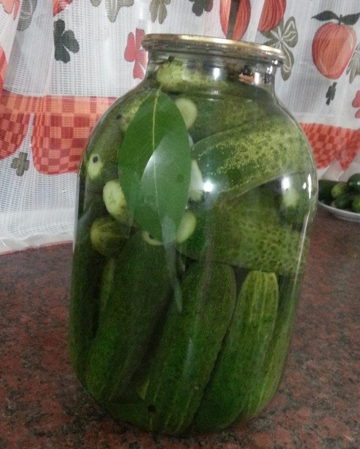 Хрустящие малосольные огурцы