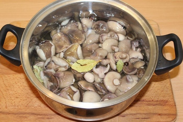 Маринованные маслята 