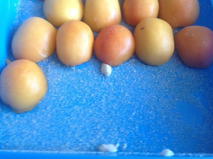 Абрикосовый пирог-перевертыш