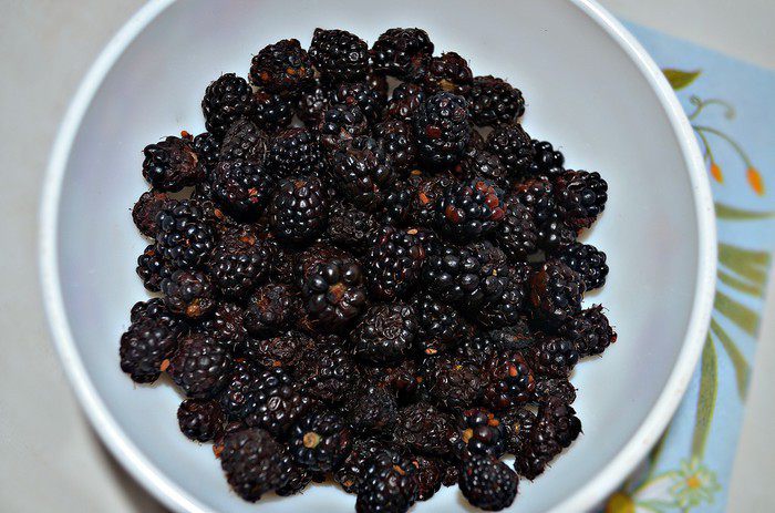 Филе индейки, фаршированное ежевикой и яблоками