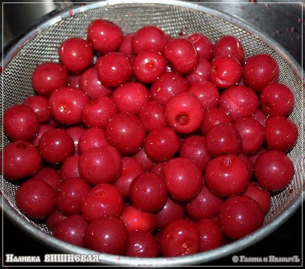 Вишневая наливка