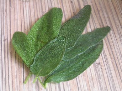 Креветки с грейпфрутом и авокадо