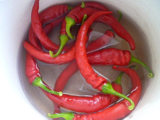 Маринованный горький перец