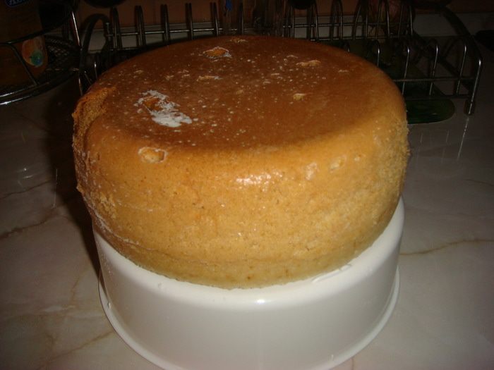 Торт &amp;quot;Шоколадные тюльпаны&amp;quot;