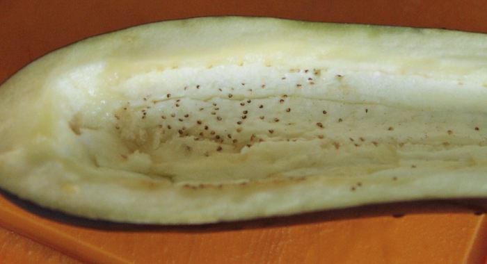 Баклажаны «Крамбл»