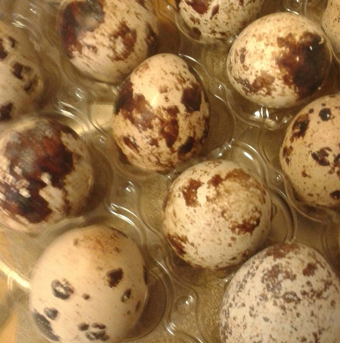 Хлебушек в &amp;quot;горошек&amp;quot;