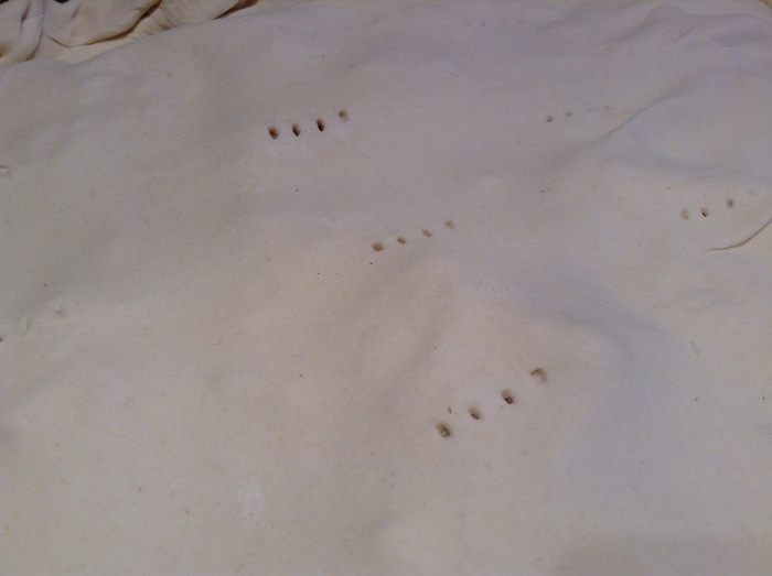 Пирог с осетриной