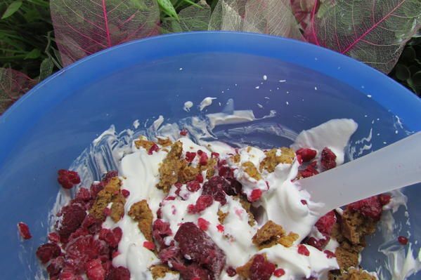 Семифредо из рикотты с малиной и миндальным печеньем