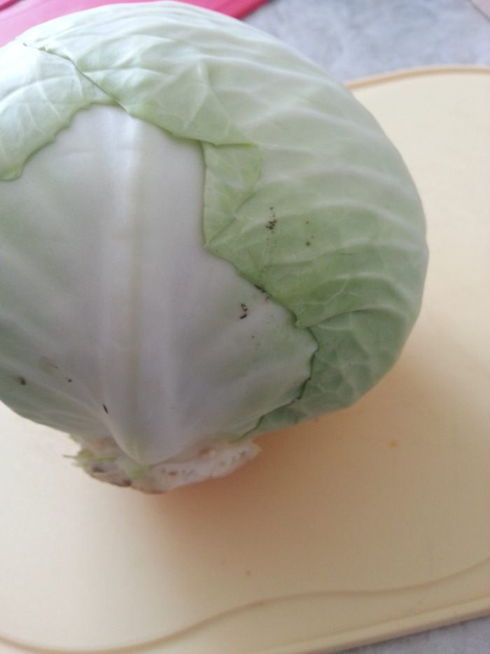 Обычные голубцы + хороший способ подготовки капустных листьев