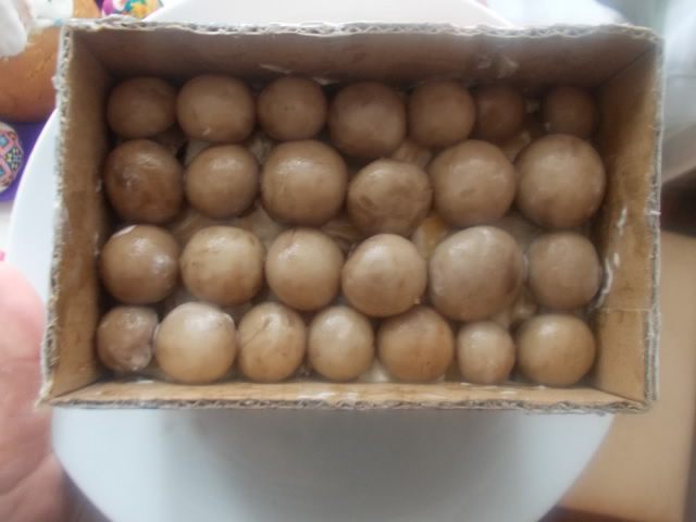 Салат с сыром и маринованными шампиньонами