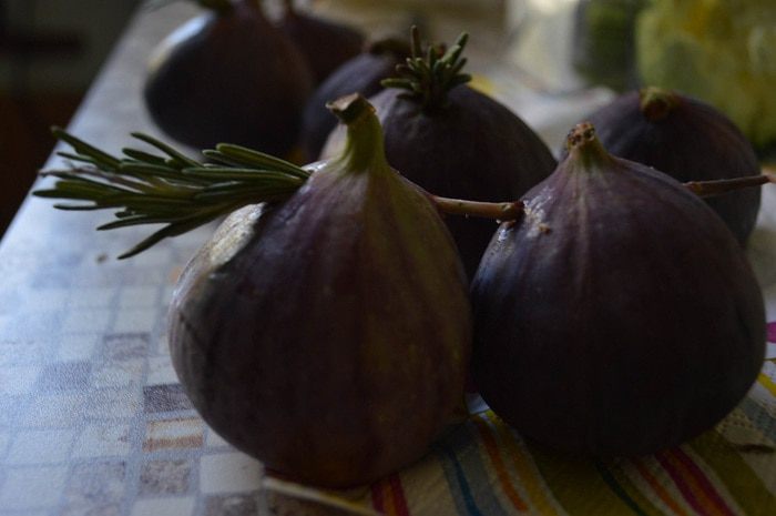 Шашлычки из инжира на розмарине 