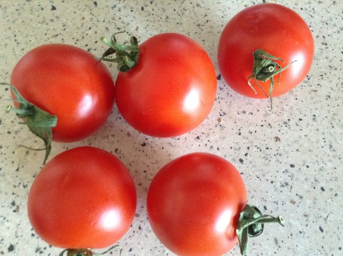 Томаты &amp;quot;Регал&amp;quot;