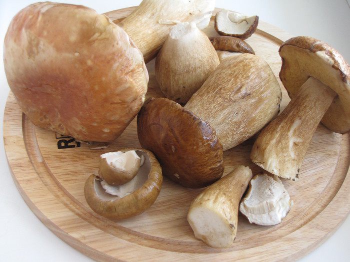 Жаркое в горшочках с белыми грибами и свининой