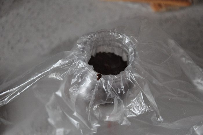 Блины с молочной начинкой в шоколадных кольцах