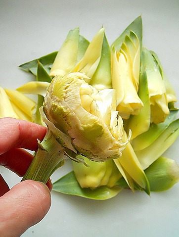 Артишоки по-гречески