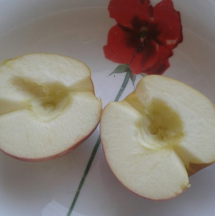 &amp;quot;Сладкие розы&amp;quot; без шипов