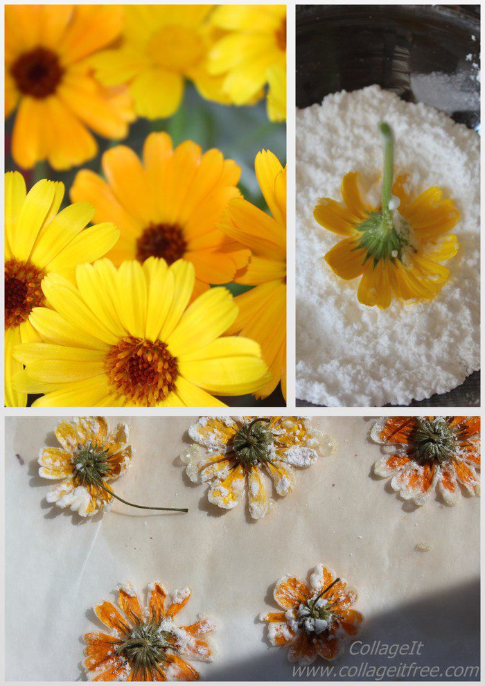 Воздушный творожник на шоколадной основе